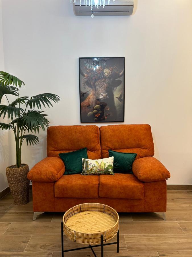 Apartamentos Casa El Gorras Cordoba Dış mekan fotoğraf